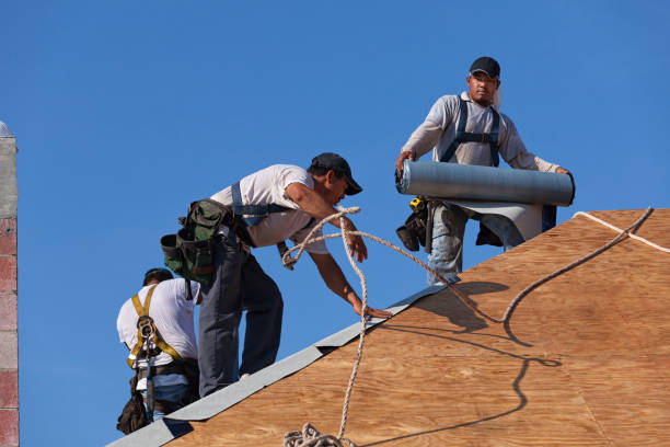 Best Roof Gutter Cleaning  in Whispering Pines, NC